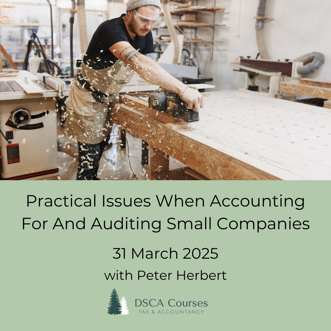 Practical Issues When Accounting For And Auditing Small Companies 31 March 2025