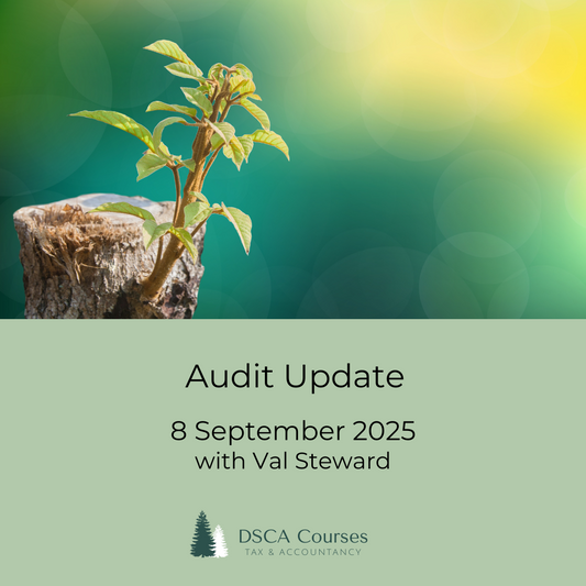 Audit Update 8 September 2025